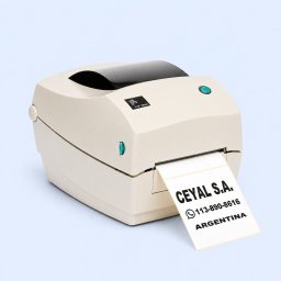 Escritorio 4